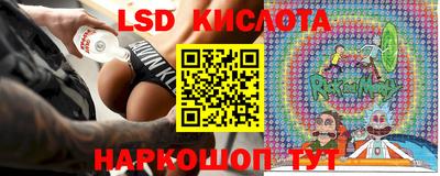 крисы Славгород