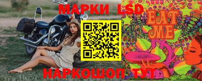 крисы Славгород