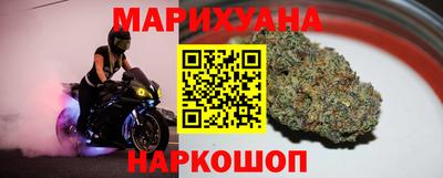 крисы Славгород