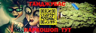 крисы Славгород