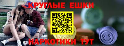 крисы Славгород