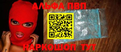 крисы Славгород