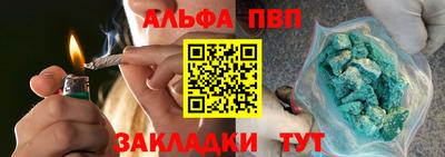 индика Сланцы