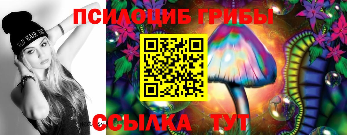 ТГК Новодвинск
