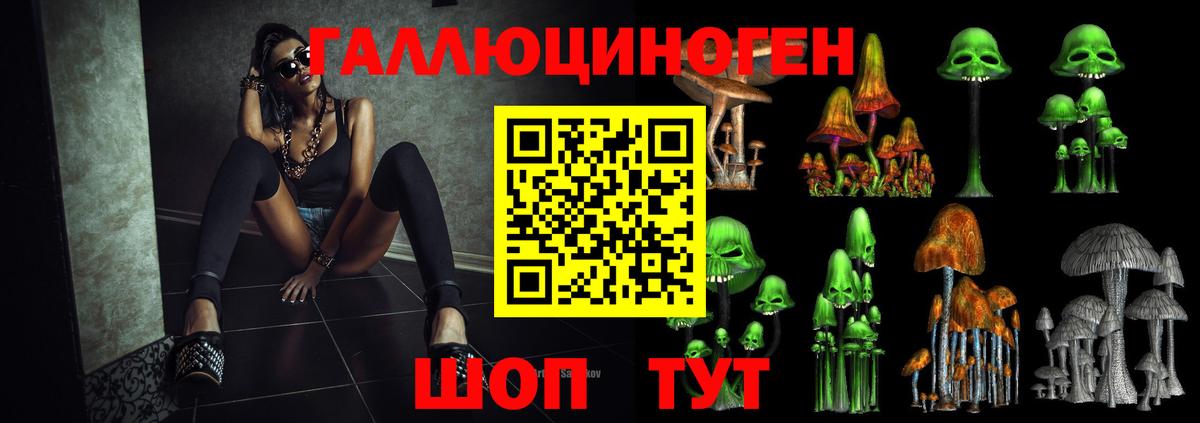 Новодвинск  Галлюциногенные грибы ЛСД  Вход с VPN 